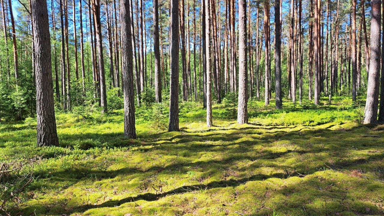 Фотография с дистанции 30 км, кадр 12